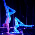 Acrobates équilibristes